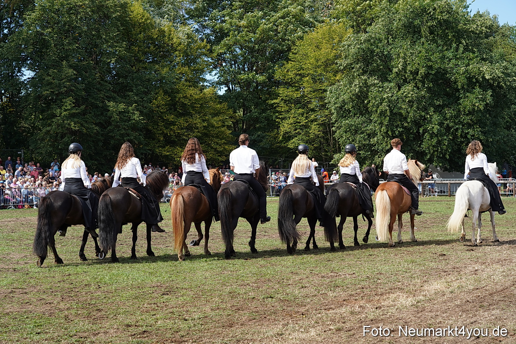 Pferde und Fohlenschau 2022 0267 